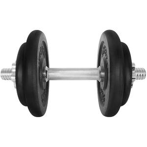 Gantera DHS 529FCIN173, 17kg, 6 discuri, negru-argintiu