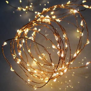 Ghirlanda luminoasa HOME ML 80/WW, 80 led-uri, 7.9m, iluminare alb cald