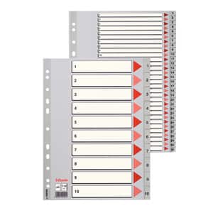 Separator ESSELTE, 225 x 297 mm, plastic, 11 perforatii; format A4, gri
