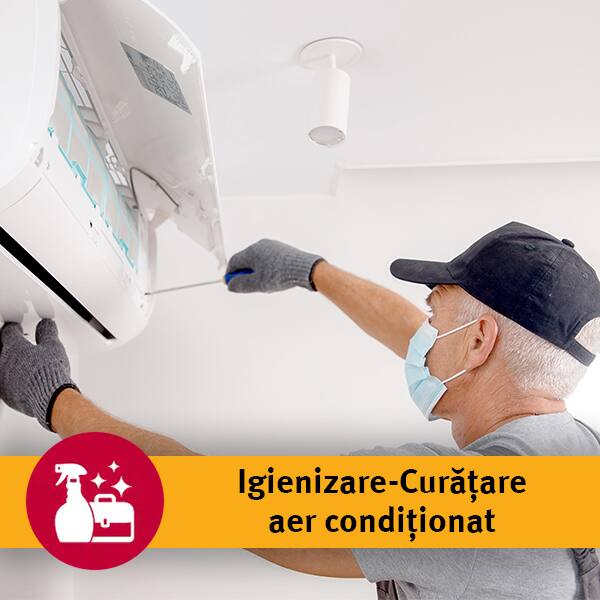 Serviciu revizie simpla (igienizare-curatare aer conditionat) in 1-3 zile lucratoare