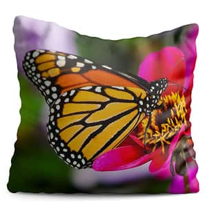 Perna decorativa Butterfly, 40 x 40 cm, multicolor
