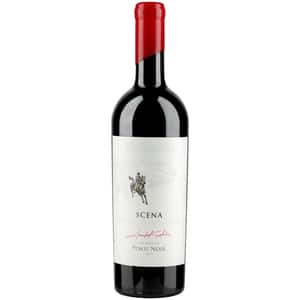 Vin rosu sec Vinaria Javgur Scena Pinot Noir 2019, 0.75L