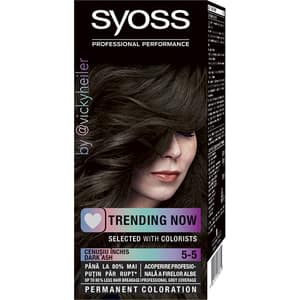Vopsea De Par Syoss