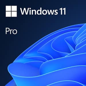 Licenta Microsoft Windows 11 Pro, Toate limbile, 64bit, ESD