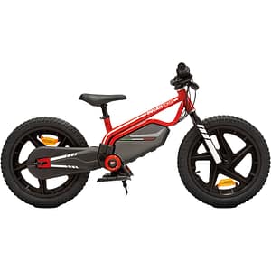 Bicicleta asistata electric DUCATI E-MOTO Kids, roata 16", motor 150W, viteza max 16km/h, rosu