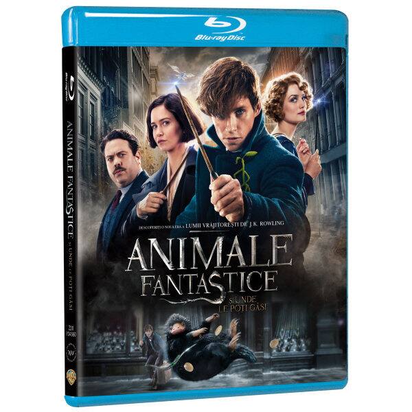 Animale Fantastice Si Unde Le Poti Gasi Blu Ray