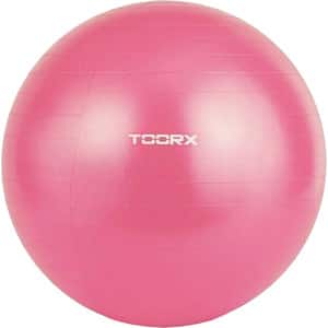Minge gimnastica TOORX AHF069, 55 cm, roz