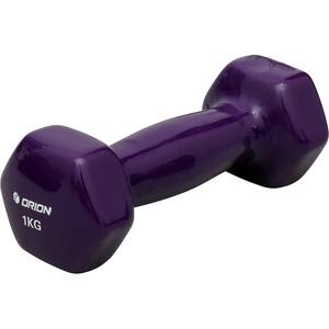 Gantera vinyl ORION VDB-03-1, 1kg, mov