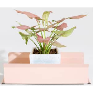 Suport ghiveci flori SPIN Fliss, 28.5 x 11 x 9 cm, roz