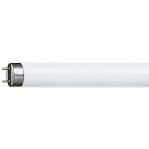 Tub fluorescent PHILIPS MASTER TL-D Super 80 38W/840, 38W, G13, 106cm, lumina rece