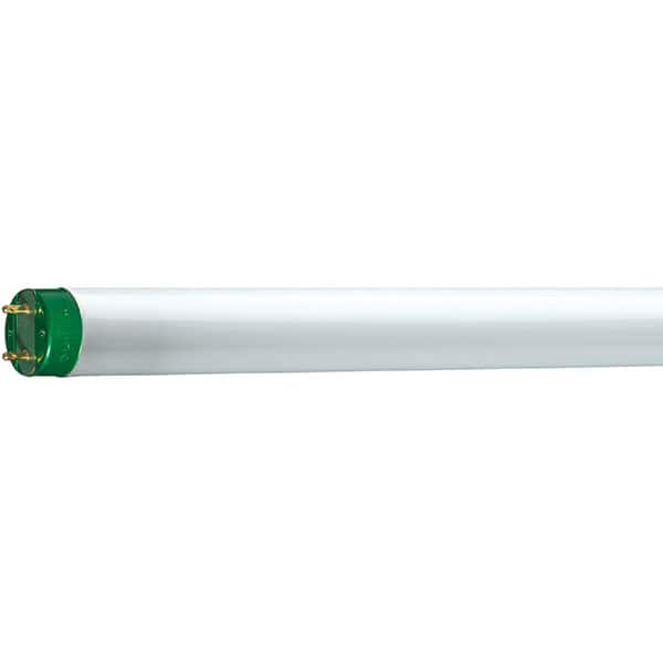 Tub fluorescent PHILIPS MASTER TL-D Eco 32W/865, 32W, G13, 121cm, lumina rece