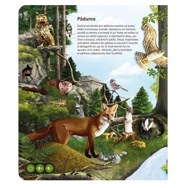Carte interactiva RASPUNDEL ISTETEL Lumea animalelor 69436, 6 ani+, multicolor