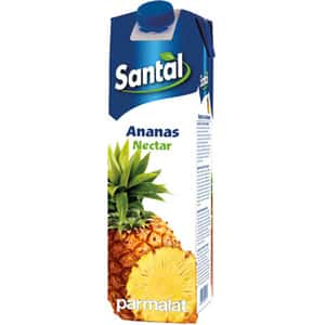 Bautura racoritoare necarbogazoasa SANTAL Nectar Ananas, 1L
