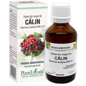 Extract din Muguri de Calin, 50 ml, PLANTEXTRAKT