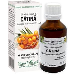 Extract din Muguri Catina, 50 ml, PLANTEXTRAKT