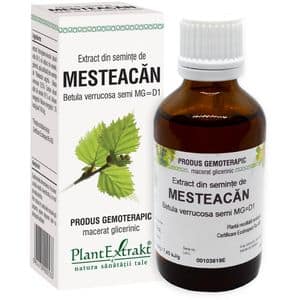 Extract din Seminte de Mesteacan, 50 ml , PLANTEXTRAKT