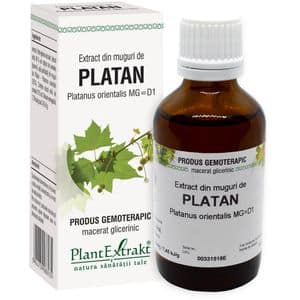 Extract din Muguri Platan, 50 ml, PLANTEXTRAKT