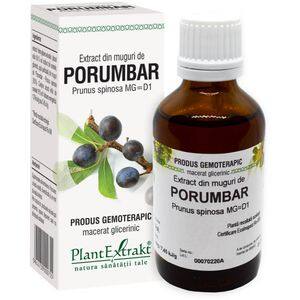 Extract din Muguri de Porumbar, 50 ml, PLANTEXTRAKT