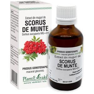Extract din Muguri Scorus de Munte, 50 ml, PLANTEXTRAKT