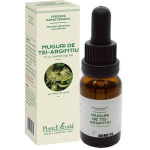 Concentrat Muguri de Tei Argintiu macerat glicerinic, 15 ml, PLANTEXTRAKT