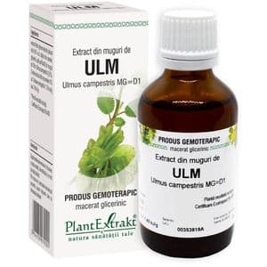 Extract din Muguri de Ulm, 50 ml, PLANTEXTRAKT