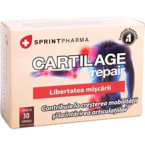 Supliment alimentar CARTILAGE repair, 30 capsule, SPRINT PHARMA