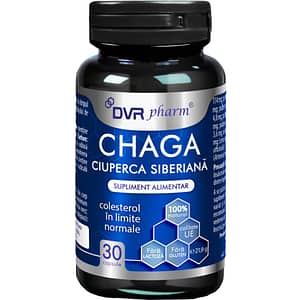 Supliment Chaga Ciuperca Siberiana, 30 capsule, DVR PHARM