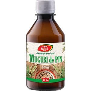 Sirop Muguri de Pin R12, 250 ml, FARES