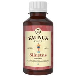 Tinctura Siluetus, 200 ml, FAUNUS PLANT