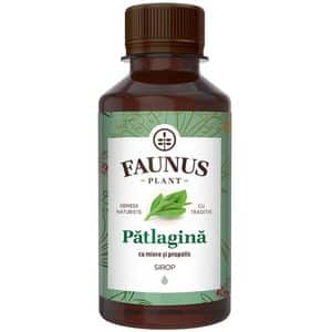 Sirop Patlagina cu miere si propolis, 200 ml, FAUNUS PLANT