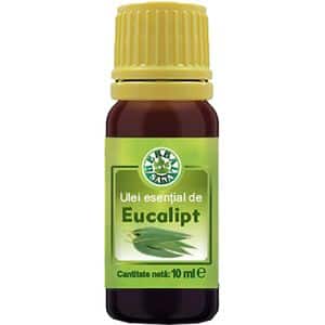 Ulei esential de Eucalipt, 10 ml, HERBAVIT
