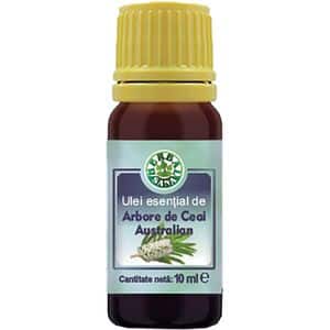 Ulei esential de Arbore de Ceai, 10 ml, HERBAVIT