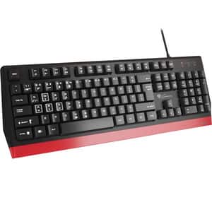 Tastatura Gaming GENESIS Rhod 250, USB, Layout US, negru