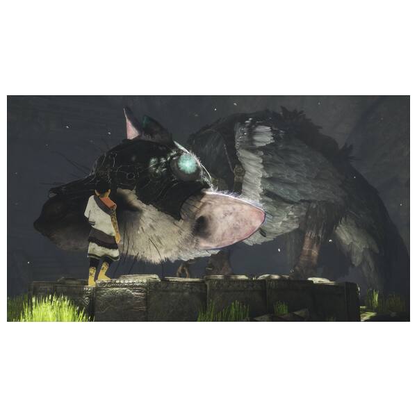 The Last Guardian PS4