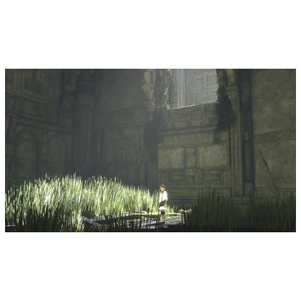 The Last Guardian PS4